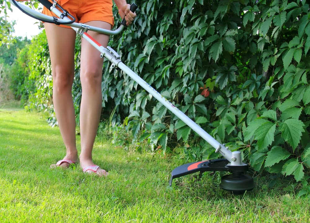 Lawn care crew maintaining a residential yard
