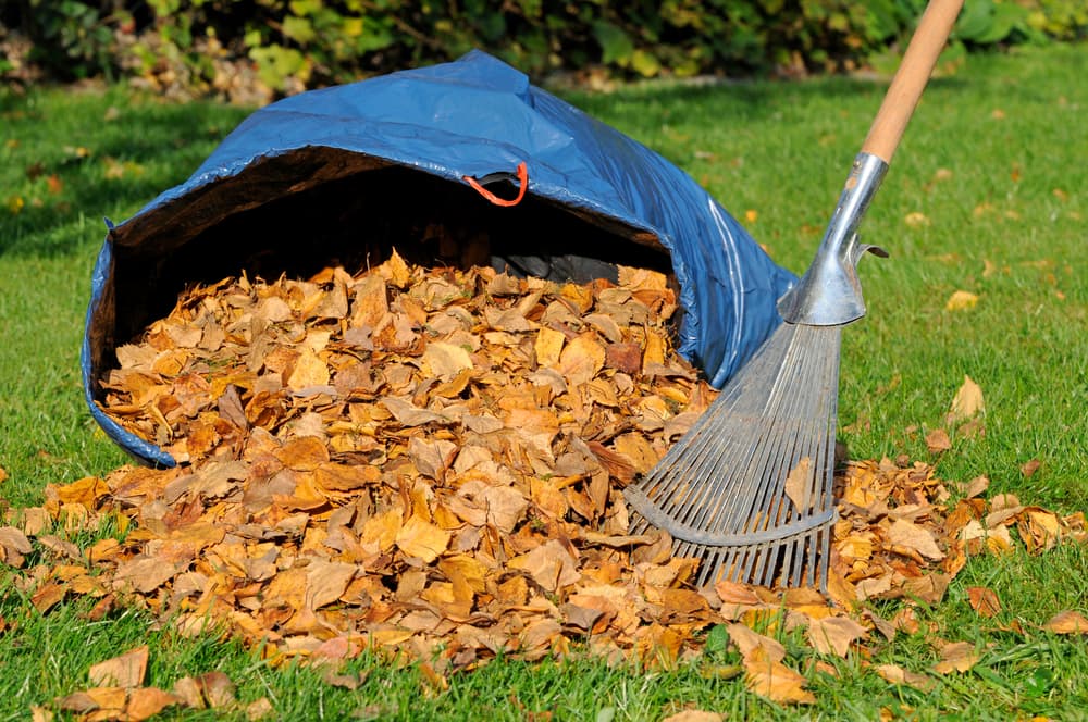 Lawn and landscape work by Student Loan Payment Lawn Care